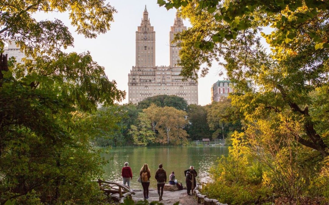 10 Surprisingly Free Things That You Can Do In New York City